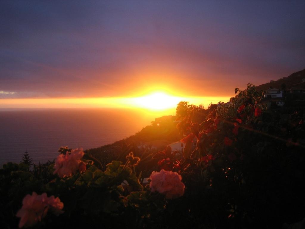 Apartamento Do Sol Arco da Calheta  Exterior foto