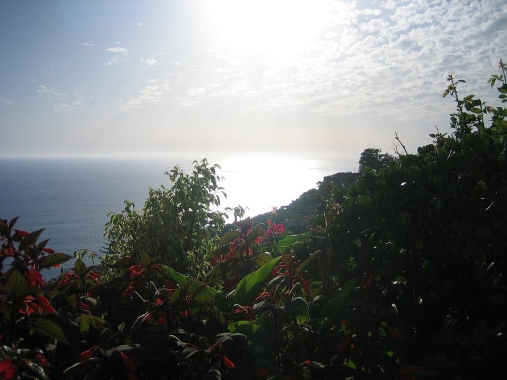 Apartamento Do Sol Arco da Calheta  Exterior foto